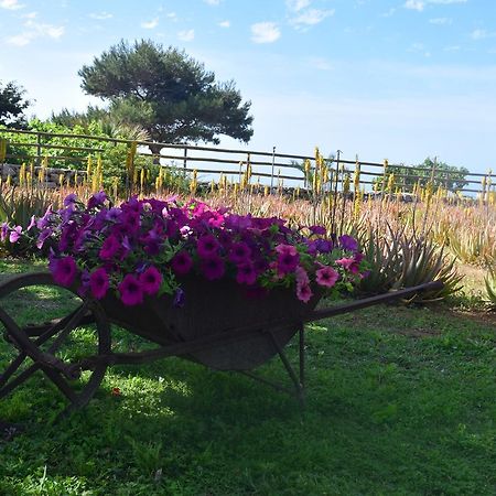 Il Giardino Delle Aloe Pensionat Favignana Eksteriør billede