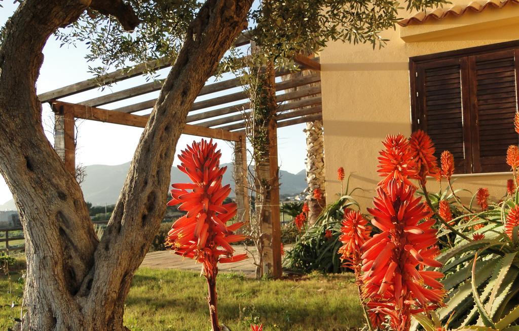 Il Giardino Delle Aloe Pensionat Favignana Eksteriør billede