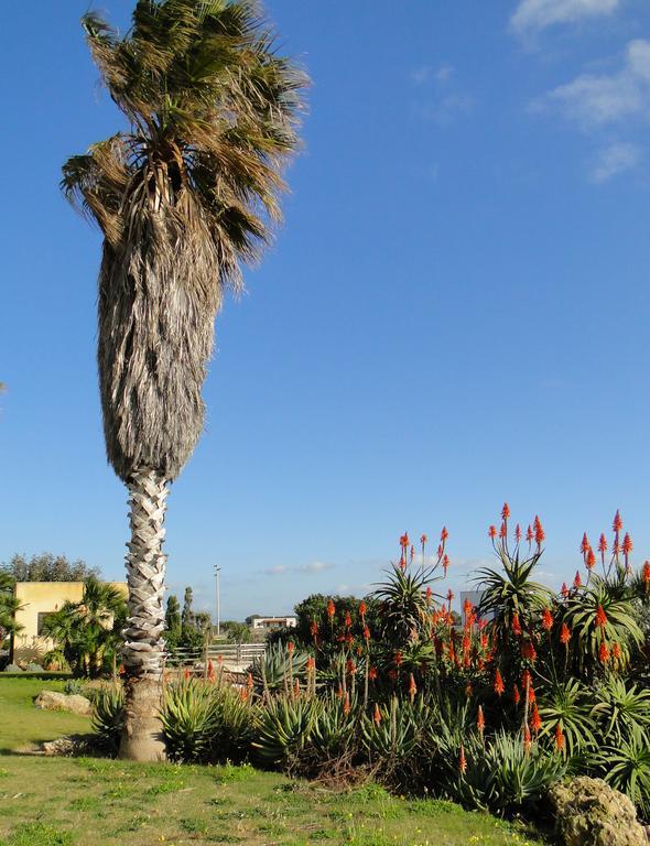 Il Giardino Delle Aloe Pensionat Favignana Eksteriør billede