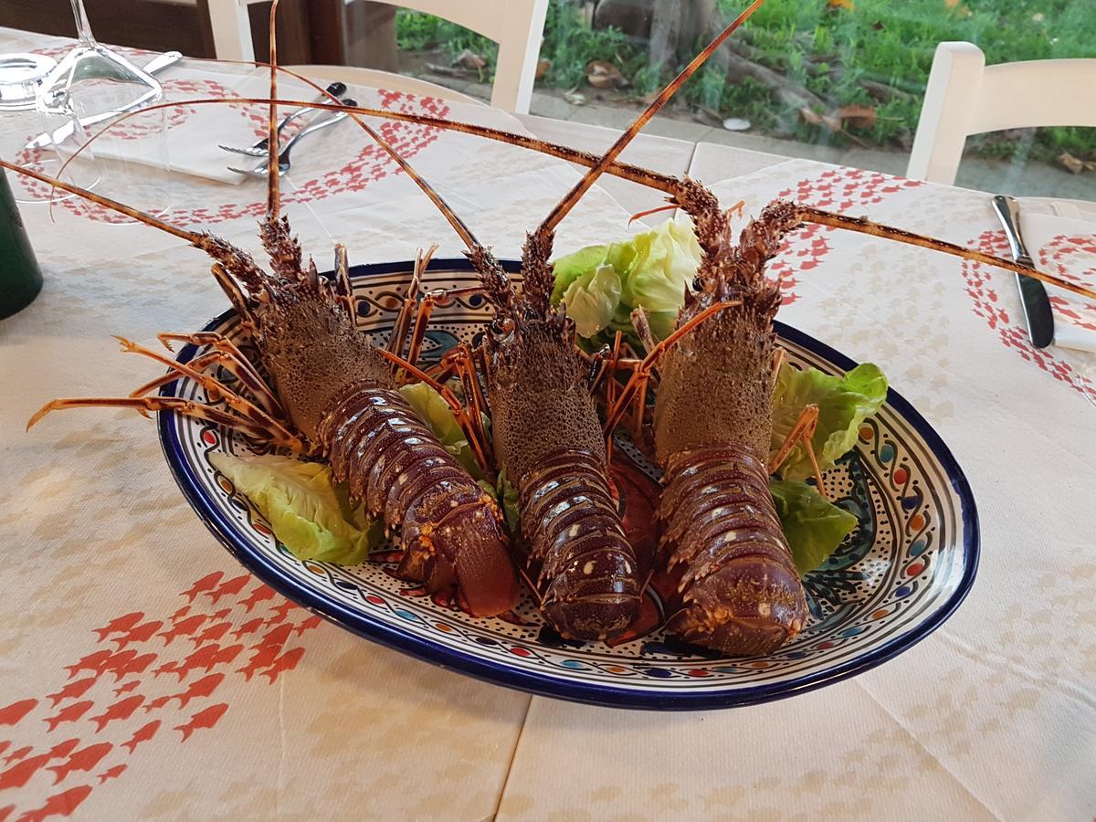Il Giardino Delle Aloe Pensionat Favignana Eksteriør billede