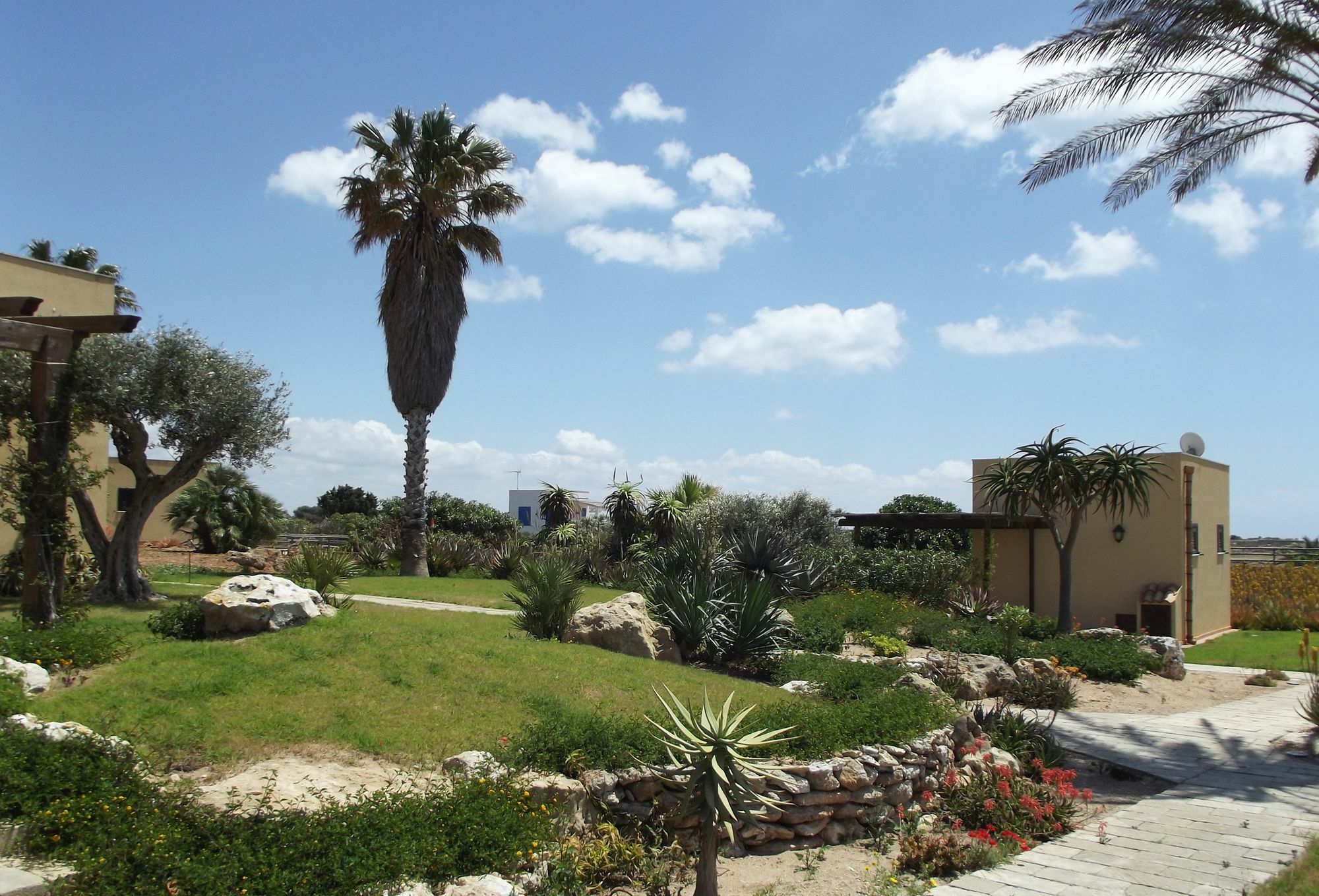 Il Giardino Delle Aloe Pensionat Favignana Eksteriør billede