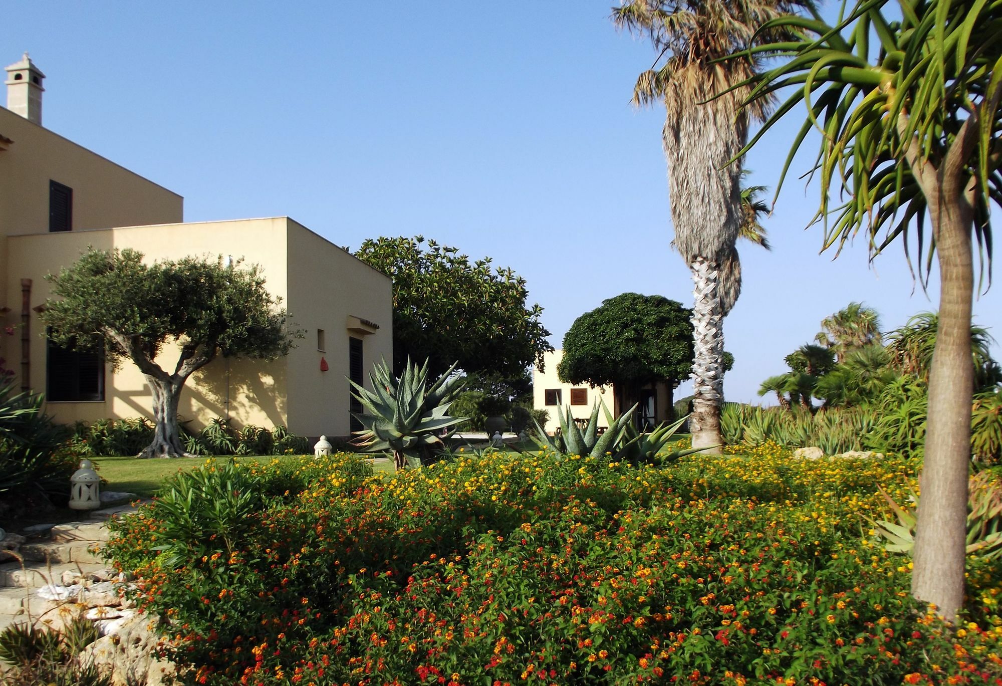 Il Giardino Delle Aloe Pensionat Favignana Eksteriør billede