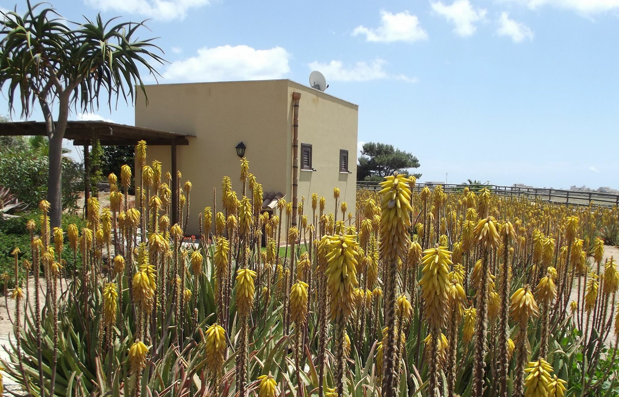 Il Giardino Delle Aloe Pensionat Favignana Eksteriør billede