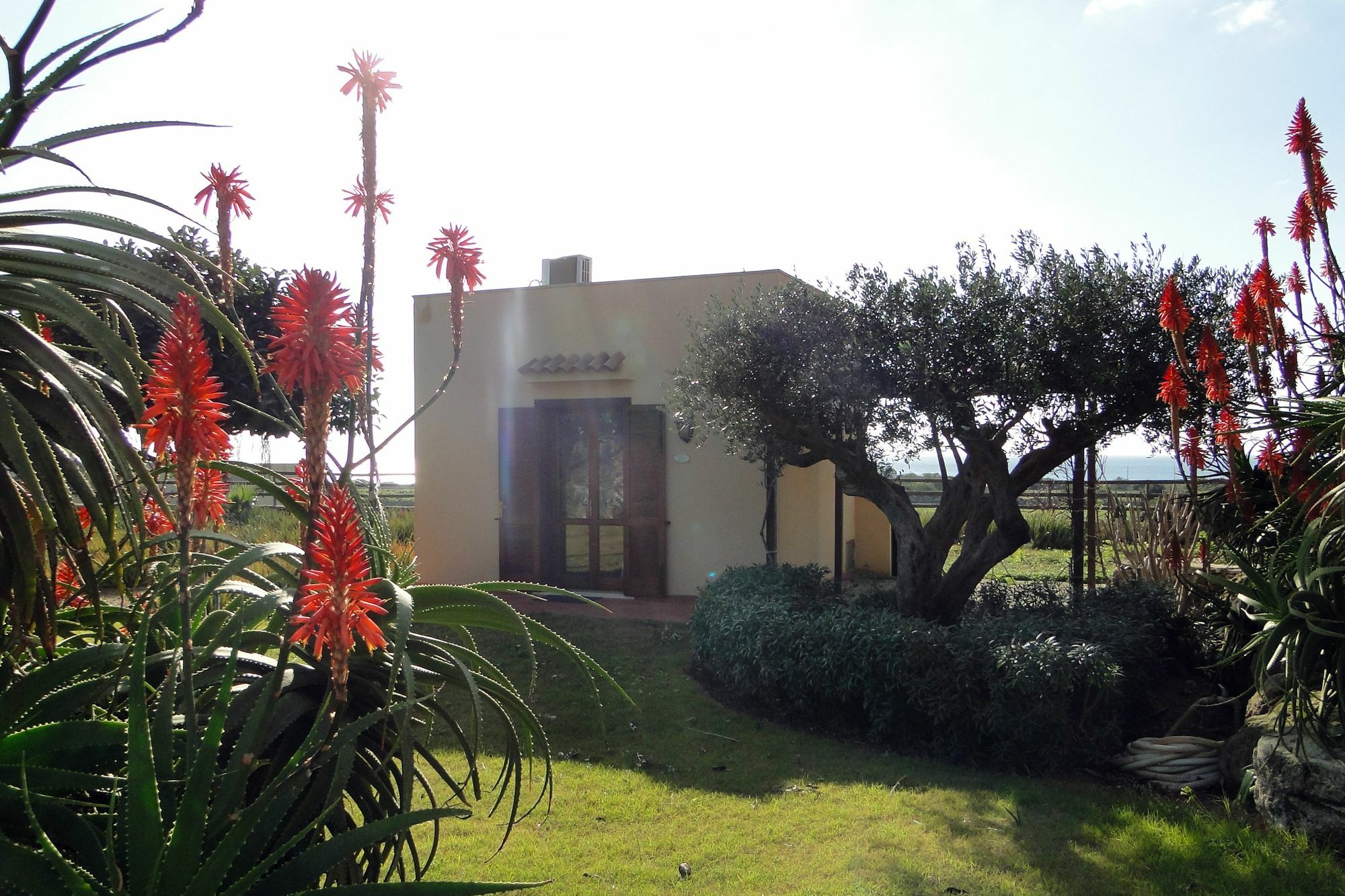 Il Giardino Delle Aloe Pensionat Favignana Eksteriør billede